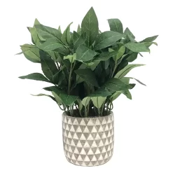 Sonoma Goods For LifeĀ® Sonoma Faux House Plant