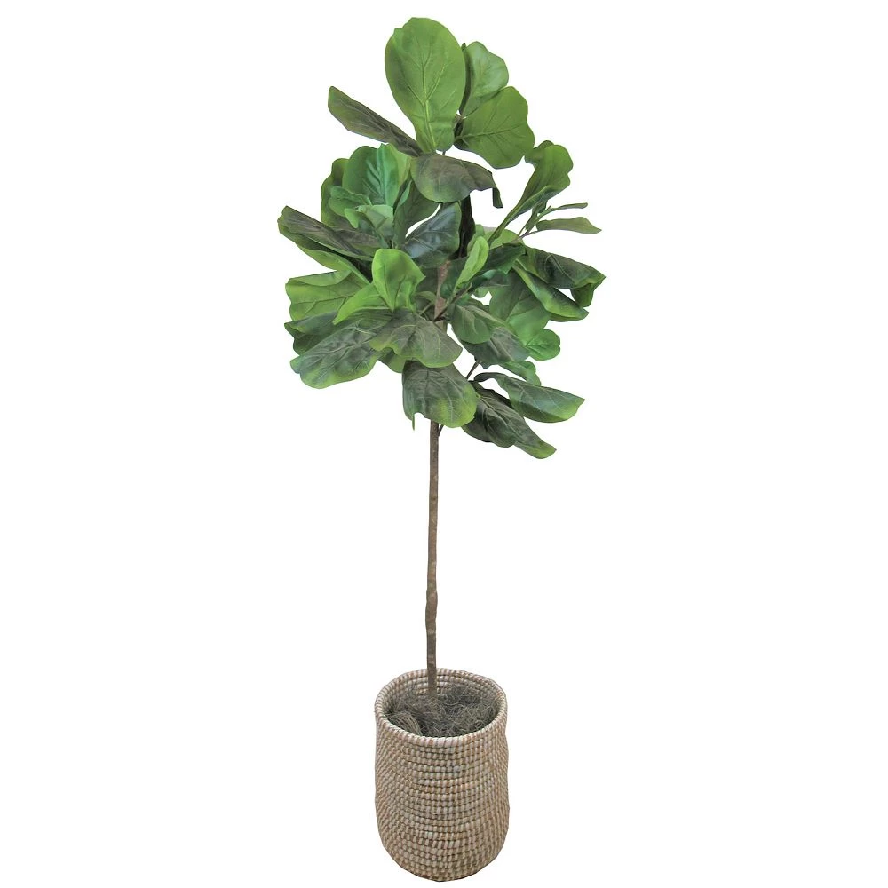 Sonoma Goods For Life® Artificial Fiddle Leaf Fig Floor Decor Sonoma Goods For Life® Artificial Fiddle Leaf Fig Floor Decor -Sonoma Furniture Store 4836187