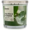 Sonoma Goods For Life® Sage Mint & Eucalyptus 14-oz. Candle Jar -Sonoma Furniture Store 5494081