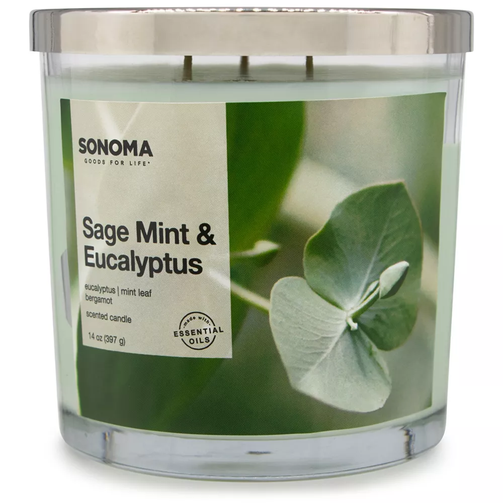 Sonoma Goods For Life® Sage Mint & Eucalyptus 14-oz. Candle Jar Sonoma Goods For Life® Sage Mint & Eucalyptus 14-oz. Candle Jar -Sonoma Furniture Store 5494081