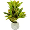Sonoma Goods For Life® Artificial Potted Greenery Floor Decor -Sonoma Furniture Store 5583143