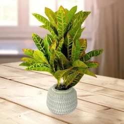 Sonoma Goods For Life® Artificial Potted Greenery Floor Decor -Sonoma Furniture Store 5583143 ALT2