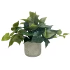 Sonoma Goods For Life® Artificial Trailing Ivy Plant Table Decor 1 Sonoma Goods For Life® Artificial Trailing Ivy Plant Table Decor -Sonoma Furniture Store 5635805