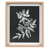 Sonoma Goods For Life® Printed Wood Frame Reverse Botanical Wall Decor -Sonoma Furniture Store 5636624