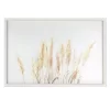 Sonoma Goods For Life® Summer Wheat Framed Wall Art -Sonoma Furniture Store 5661521