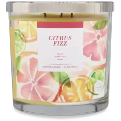 Sonoma Goods For Life® Citrus Fizz 14-oz. Candle Jar 4 Sonoma Goods For Life® Citrus Fizz 14-oz. Candle Jar -Sonoma Furniture Store 5877284 ALT2