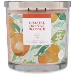 Sonoma Goods For Life® Coastal Orange Blossom 14-oz. Candle Jar -Sonoma Furniture Store 5877290 ALT2
