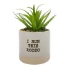 Sonoma Goods For Life® I Run This Rodeo Artificial Potted Plant Table Decor -Sonoma Furniture Store 5896121