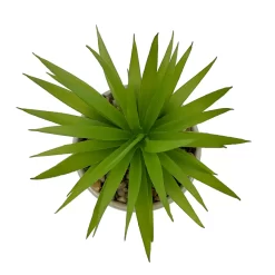 Sonoma Goods For Life® I Run This Rodeo Artificial Potted Plant Table Decor -Sonoma Furniture Store 5896121 ALT2