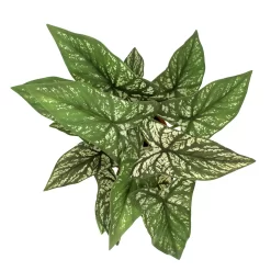 Sonoma Goods For Life® Greenery In Terracotta Pot -Sonoma Furniture Store 5897083 ALT2