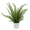 Sonoma Goods For Life® Faux Fern In Ceramic Pot 1 Sonoma Goods For Life® Faux Fern In Ceramic Pot -Sonoma Furniture Store 5897085