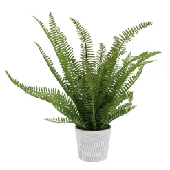 Sonoma Goods For LifeĀ® Faux Fern In Ceramic Pot