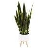 Sonoma Goods For Life® Faux Snake Plant In Midcentry Modern Pot -Sonoma Furniture Store 5897091