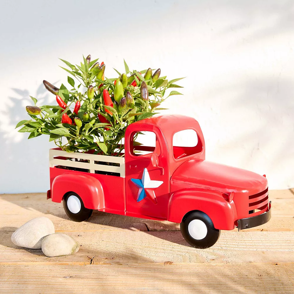 Sonoma Goods For Life® Texas Truck Planter Table Decor Sonoma Goods For Life® Texas Truck Planter Table Decor -Sonoma Furniture Store 5899091 ALT