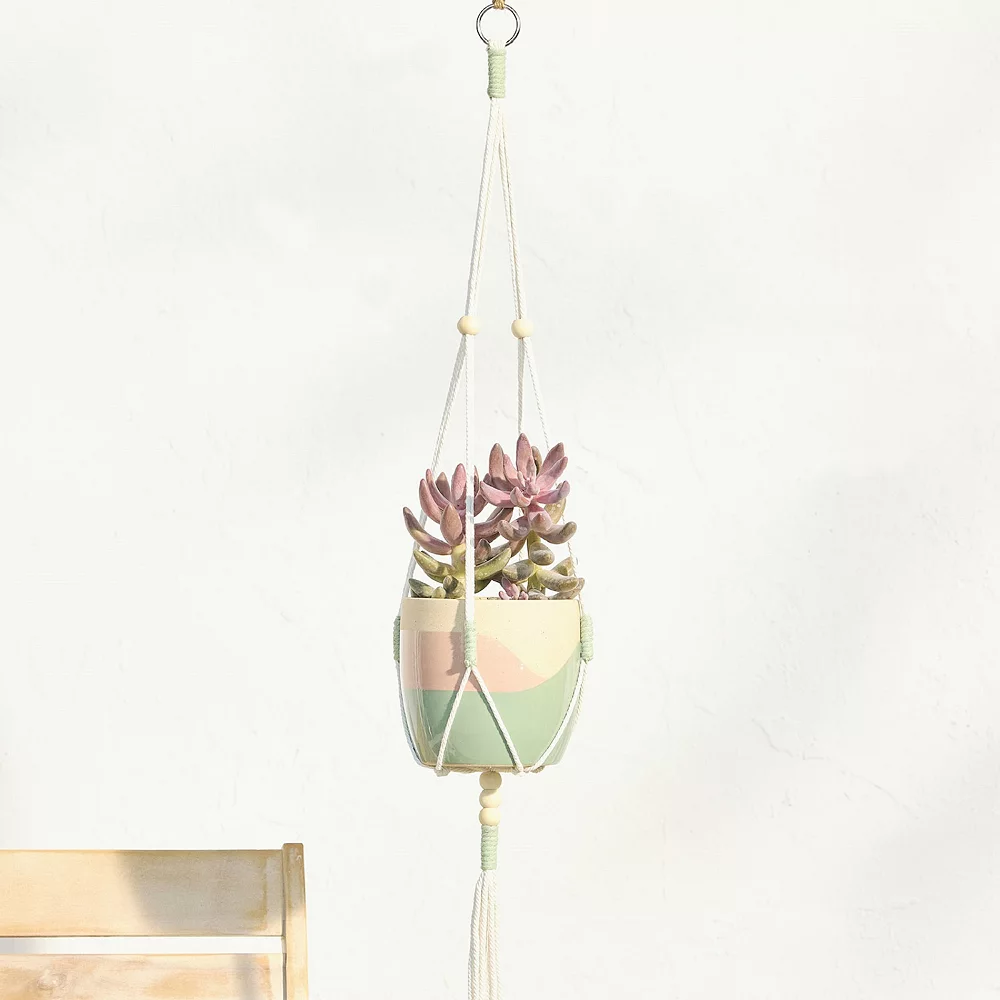 Sonoma Goods For Life® Color Block Hanging Macramé Planter Sonoma Goods For Life® Color Block Hanging Macramé Planter -Sonoma Furniture Store 5901436 ALT