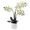 Sonoma Goods For Life® Faux Orchid In Ceramic Pot Floor Decor -Sonoma Furniture Store 5902386
