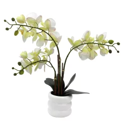 Sonoma Goods For Life® Faux Orchid In Ceramic Pot Floor Decor -Sonoma Furniture Store 5902386 ALT