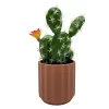 Sonoma Goods For Life® Faux Flowering Cactus Table Decor -Sonoma Furniture Store 5902636