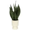 Sonoma Goods For Life® Faux Snake Plant In Ceramic Vessel -Sonoma Furniture Store 5902774