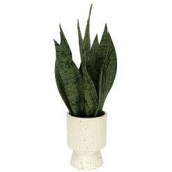 Sonoma Goods For LifeĀ® Faux Snake Plant In Ceramic Vessel