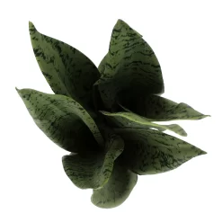 Sonoma Goods For Life® Faux Snake Plant In Ceramic Vessel -Sonoma Furniture Store 5902774 ALT2