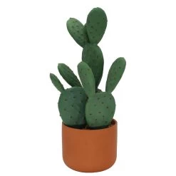 Sonoma Goods For LifeĀ® Prickly Pear Cactus In Terracotta Pot