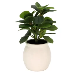 Sonoma Goods For LifeĀ® Artificial Greenery In Ceramic Jar