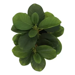 Sonoma Goods For Life® Artificial Greenery In Ceramic Jar -Sonoma Furniture Store 5902872 ALT2