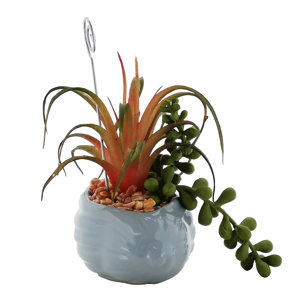 Sonoma Goods For Life® Succulent Artificial Greenery Photo Clip Sonoma Goods For Life® Succulent Artificial Greenery Photo Clip -Sonoma Furniture Store 5903701
