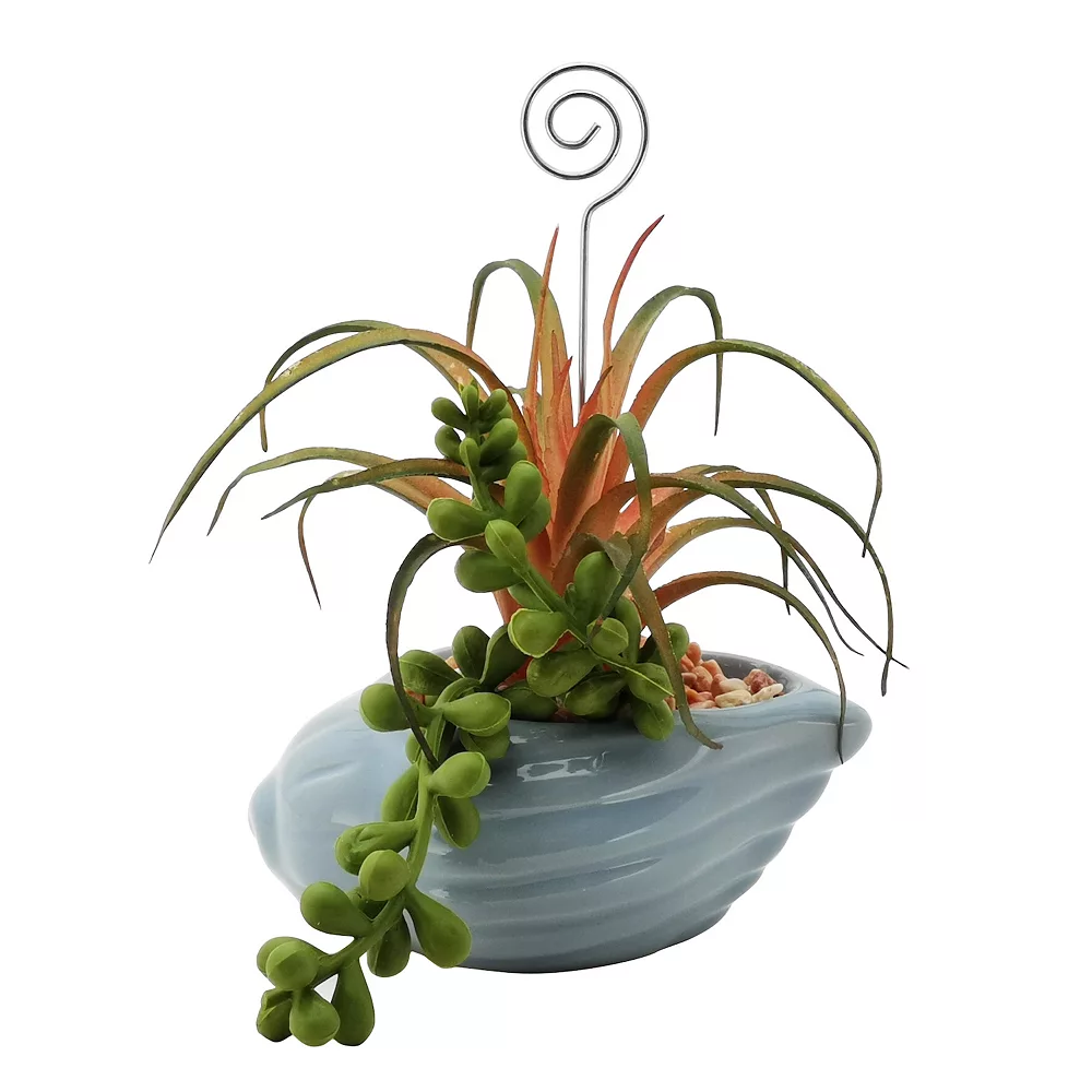 Sonoma Goods For Life® Succulent Artificial Greenery Photo Clip Sonoma Goods For Life® Succulent Artificial Greenery Photo Clip -Sonoma Furniture Store 5903701 ALT