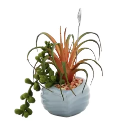 Sonoma Goods For Life® Succulent Artificial Greenery Photo Clip 5 Sonoma Goods For Life® Succulent Artificial Greenery Photo Clip -Sonoma Furniture Store 5903701 ALT3