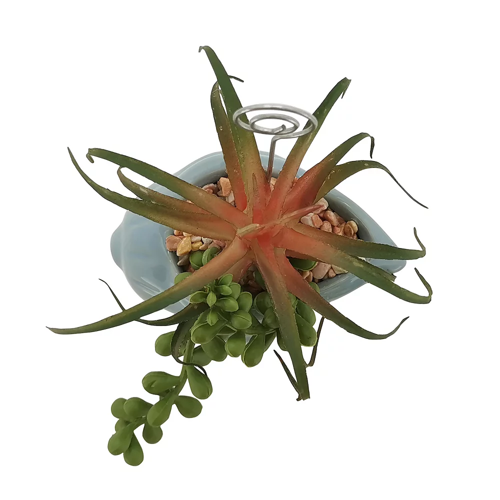 Sonoma Goods For Life® Succulent Artificial Greenery Photo Clip Sonoma Goods For Life® Succulent Artificial Greenery Photo Clip -Sonoma Furniture Store 5903701 ALT4