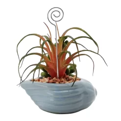 Sonoma Goods For Life® Succulent Artificial Greenery Photo Clip 7 Sonoma Goods For Life® Succulent Artificial Greenery Photo Clip -Sonoma Furniture Store 5903701 ALT5