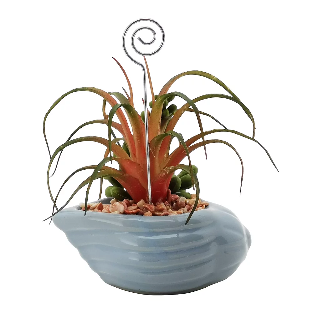 Sonoma Goods For Life® Succulent Artificial Greenery Photo Clip Sonoma Goods For Life® Succulent Artificial Greenery Photo Clip -Sonoma Furniture Store 5903701 ALT5