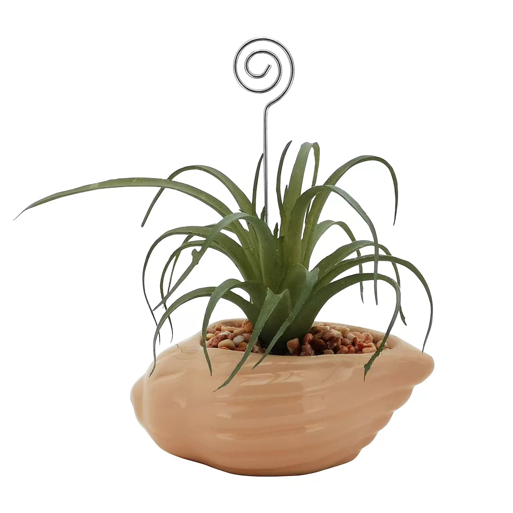 Sonoma Goods For Life® Air Plant Artificial Greenery Photo Clip Sonoma Goods For Life® Air Plant Artificial Greenery Photo Clip -Sonoma Furniture Store 5903702