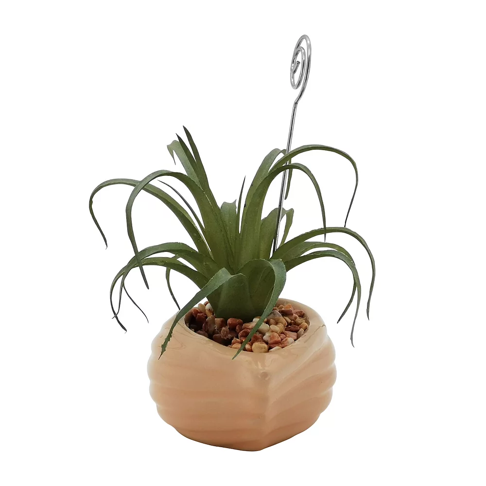 Sonoma Goods For Life® Air Plant Artificial Greenery Photo Clip Sonoma Goods For Life® Air Plant Artificial Greenery Photo Clip -Sonoma Furniture Store 5903702 ALT