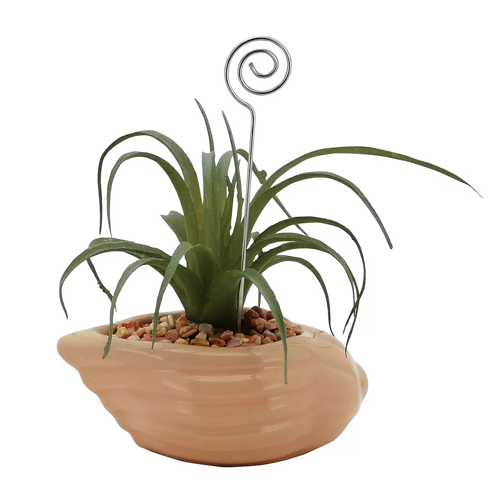 Sonoma Goods For Life® Air Plant Artificial Greenery Photo Clip Sonoma Goods For Life® Air Plant Artificial Greenery Photo Clip -Sonoma Furniture Store 5903702 ALT3