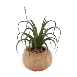 Sonoma Goods For Life® Air Plant Artificial Greenery Photo Clip 6 Sonoma Goods For Life® Air Plant Artificial Greenery Photo Clip -Sonoma Furniture Store 5903702 ALT4