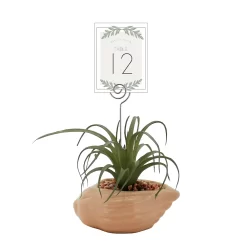Sonoma Goods For Life® Air Plant Artificial Greenery Photo Clip 7 Sonoma Goods For Life® Air Plant Artificial Greenery Photo Clip -Sonoma Furniture Store 5903702 ALT5