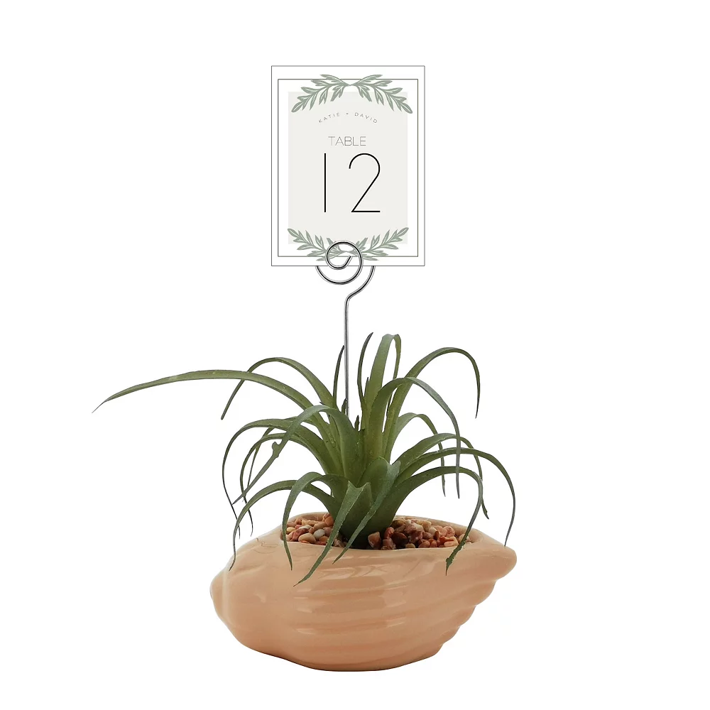 Sonoma Goods For Life® Air Plant Artificial Greenery Photo Clip Sonoma Goods For Life® Air Plant Artificial Greenery Photo Clip -Sonoma Furniture Store 5903702 ALT5