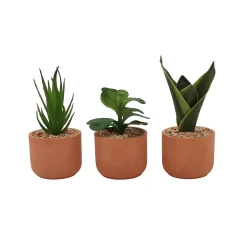 Sonoma Goods For LifeĀ® 3 Pack Mini Artificial Succulent Plants