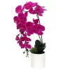 Sonoma Goods For Life® Artificial Fuschia Orchid Plant Table Decor 2 Sonoma Goods For Life® Artificial Fuschia Orchid Plant Table Decor -Sonoma Furniture Store 5904653