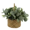 Sonoma Goods For Life® Artificial Eucalyptus Floral Basket Table Decor 1 Sonoma Goods For Life® Artificial Eucalyptus Floral Basket Table Decor -Sonoma Furniture Store 5904689