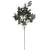 Sonoma Goods For Life® Artificial Greenery Stem Table Decor -Sonoma Furniture Store 5904699