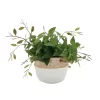 Sonoma Goods For Life® Artificial Greenery In Cement Pot -Sonoma Furniture Store 5904745