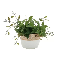 Sonoma Goods For LifeĀ® Artificial Greenery In Cement Pot