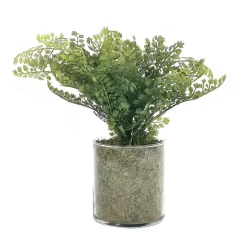 Sonoma Goods For LifeĀ® Artificial Fern In Glass Pot