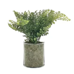 Sonoma Goods For Life® Artificial Fern In Glass Pot -Sonoma Furniture Store 5904746 ALT3