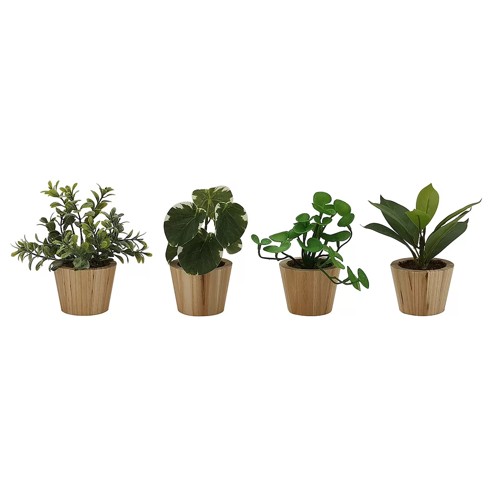 Sonoma Goods For Life® 4-Pack Mini Greenery Sonoma Goods For Life® 4-Pack Mini Greenery -Sonoma Furniture Store 5904749