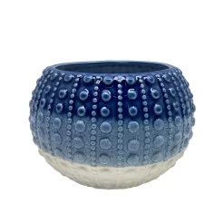 Sonoma Goods For LifeĀ® Outdoor Sea Urchin Ombre Stoneware Planter Garden Decor